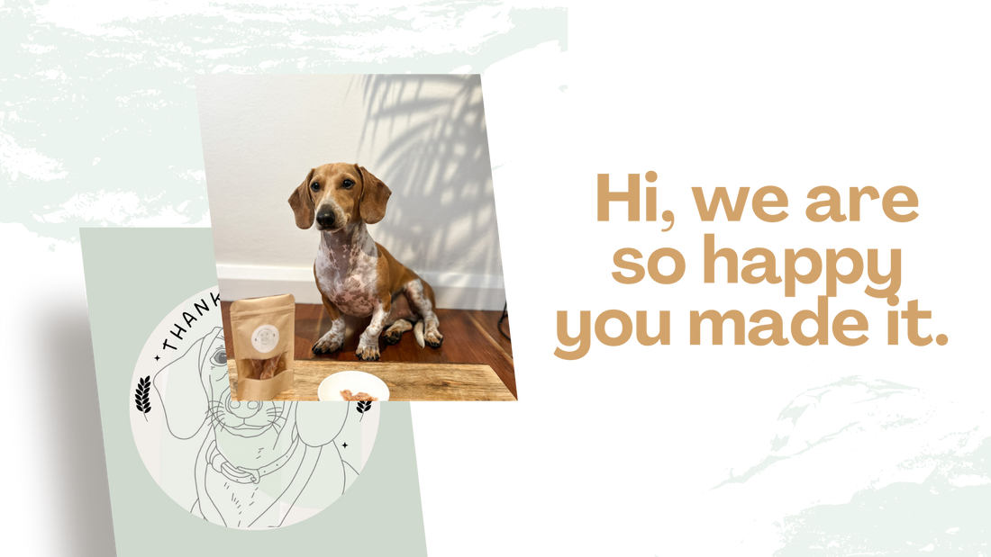 small business owner - Hannah Diane