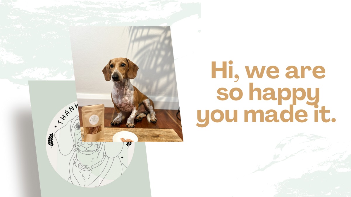 small business owner - Hannah Diane