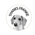 water bowl